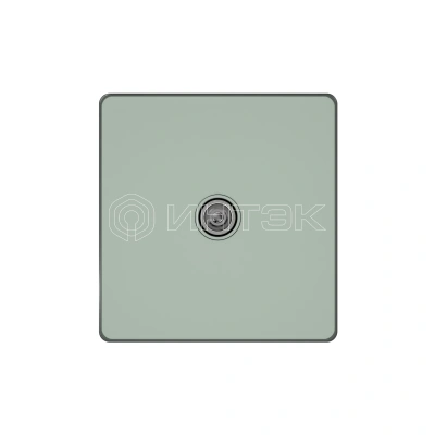 Розетка телевизионная оконечная TV/FM 1вых. СП Systeme Infinity 5-1000МГц таежное утро Systeme Electric FSE000891 изображение, фото