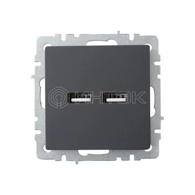 Розетка BRITE USB A+A 3.1А РЮ10-1-БрГ механизм графит IEK BR-U21-D31-K53 изображение, фото