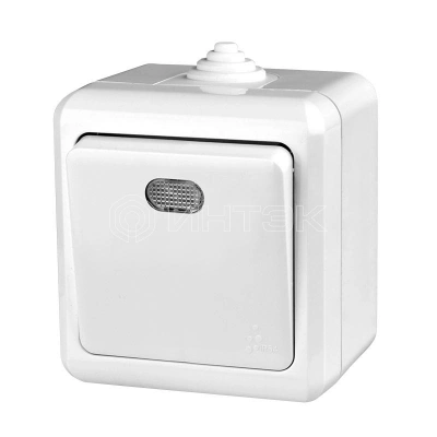 Выключатель 1-кл. ОП Dita IP54 10А 250В с индикацией бел. TOKOV ELECTRIC TKL-DT-V1I-C01-IP54 изображение, фото