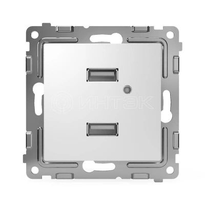 Розетка 2-м USB СП Pixel тип A+A 5В 1х2.1А 2х1.05А механизм бел. TOKOV ELECTRIC TKE-PX-2USB-C01 изображение, фото