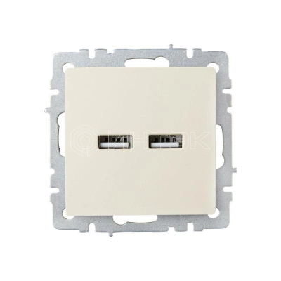 Розетка BRITE USB A+A 3.1А РЮ10-1-БрКр механизм беж. IEK BR-U21-D31-K10 изображение, фото