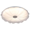 Светильник светодиодный Классик SPB-6 Muze 48W-5K WH+CH 48Вт 5000К потолочн. без ДУ бел./шампань Эра Б0070187 изображение, фото