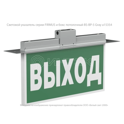Указатель световой BS-FIRMUS-71-S1-INEXI2 Белый свет a18967 изображение, фото