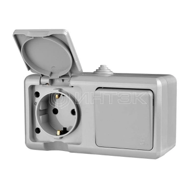 Блок ОП Dita (розетка 16А 250В с заземл. + 1-кл. выкл. 10А) IP54 сер. TOKOV ELECTRIC TKL-DT-V1RZ-C06-IP54 изображение, фото