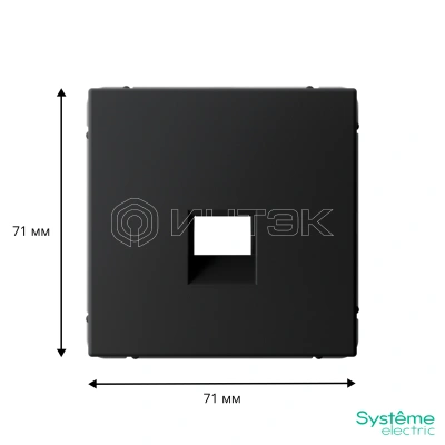 Накладка информационная ArtGallery типа Keystone карбон Systeme Electric GAL001084 изображение, фото