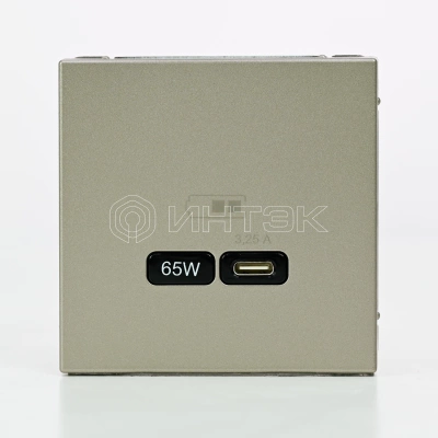 Розетка USB ArtGallery тип C 65Вт QC PD высокоскор. ЗУ механизм шампань Systeme Electric GAL000527 изображение, фото