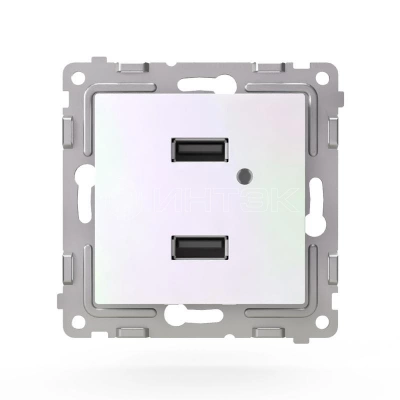 Розетка 2-м USB СП Pixel тип A+A 5В 1х2.1А 2х1.05А механизм перламутр. TOKOV ELECTRIC TKE-PX-2USB-C04 изображение, фото
