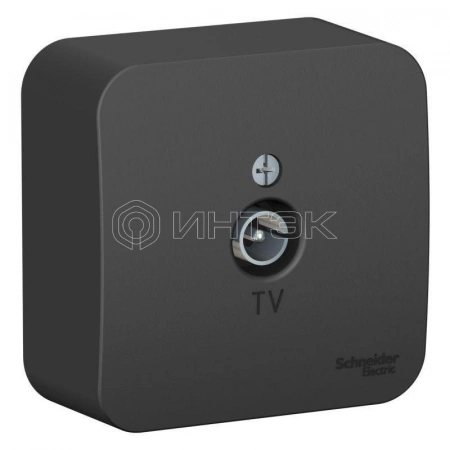 Розетка телевизионная TV ОП Blanca коннектор с изолир. пластиной антрацит Systeme Electric BLNTA000016 изображение, фото