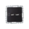Розетка BRITE USB A+A 3.1А РЮ10-1-БрЧ механизм черн. IEK BR-U21-D31-K02 изображение, фото