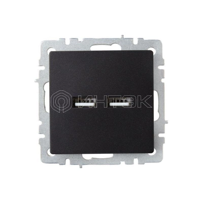 Розетка BRITE USB A+A 3.1А РЮ10-1-БрЧ механизм черн. IEK BR-U21-D31-K02 изображение, фото