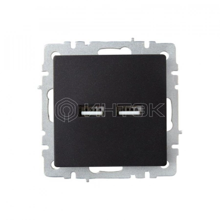 Розетка BRITE USB A+A 3.1А РЮ10-1-БрЧ механизм черн. IEK BR-U21-D31-K02 изображение, фото