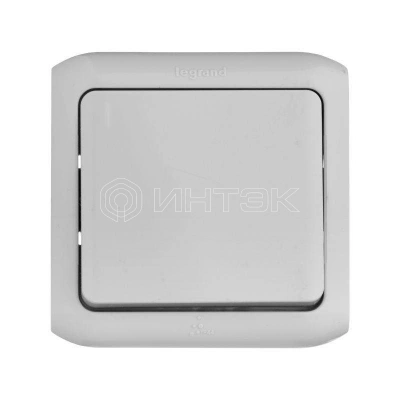 Переключатель проходной 1-кл. ОП Quteo 10А IP44 250В 10AX сер. Legrand 782334 изображение, фото