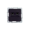 Розетка компьютерная двойн. СП RJ45 кат.5E BRITE РК10-2-БрЧ механизм черн. IEK BR-K20-1-K02 изображение, фото