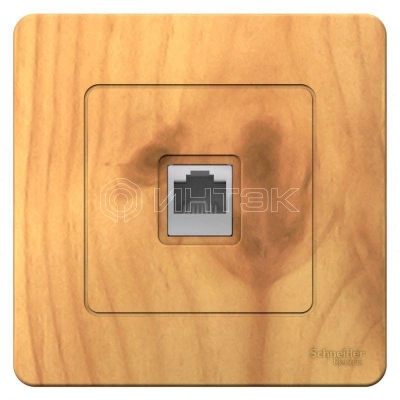 Розетка компьютерная 1-м СП Blanca RJ45 кат.5E ясень Systeme Electric BLNIS045005 изображение, фото