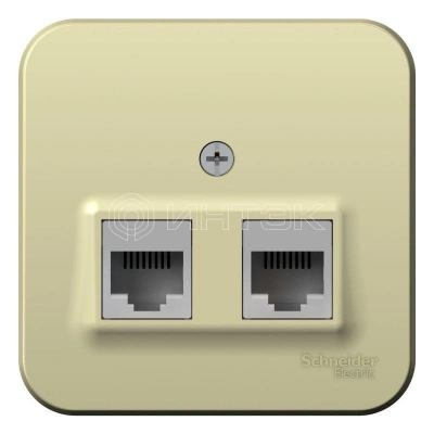 Розетка компьютерная 2-м ОП Blanca RJ45 кат.5E с изолир. пластиной беж. Systeme Electric BLNIA045457 изображение, фото