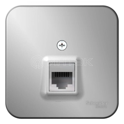 Розетка компьютерная 1-м ОП Blanca RJ45 кат.5E с изолир. пластиной алюм. Systeme Electric BLNIA045003 изображение, фото