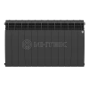 Радиатор Royal Thermo BiLiner 500 Noir Sable - 12 секц. изображение, фото
