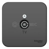 Розетка телевизионная TV ОП Blanca коннектор с изолир. пластиной антрацит Systeme Electric BLNTA000016 изображение, фото