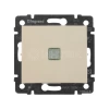 Переключатель проходной 1-кл. СП Valena 10А IP31 250В с зел. индикацией механизм сл. кость Legrand 774326 изображение, фото