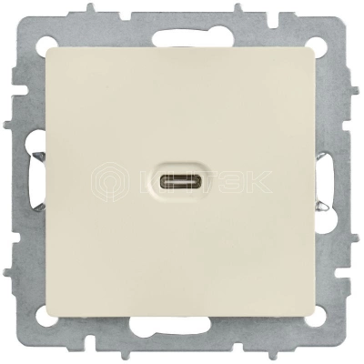 Розетка СП BRITE РЮ12-1-БрКр USB C 65Вт высокоскор. заряд. беж. IEK BR-U13-065-K10 изображение, фото