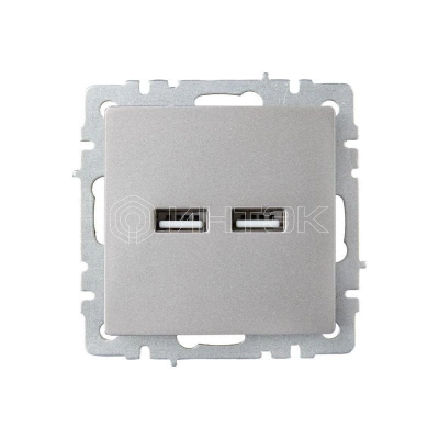 Розетка BRITE USB A+A 3.1А РЮ10-1-БрС механизм сталь IEK BR-U21-D31-K46 изображение, фото