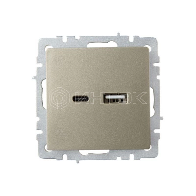 Розетка BRITE USB A+C 18Вт РЮ11-1-БрШ механизм шампань IEK BR-U22-018-K37 изображение, фото