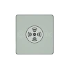 Выключатель звуковой СП Systeme Infinity 100Вт 230В с выдержкой времени таежное утро Systeme Electric FSE000894 изображение, фото