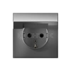 Розетка ArtGallery 16А IP20 с заземл. защ. шторки с крышкой механизм сталь Systeme Electric GAL000946 изображение, фото
