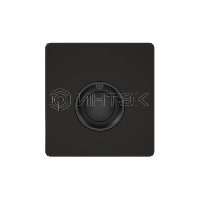 Выключатель кнопочный СП Systeme Infinity 100Вт 230В с выдержкой времени полярная ночь Systeme Electric FSE001068 изображение, фото
