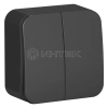 Выключатель 2-кл. ОП Blanca 10А IP20 (сх. 5) 250В с изолир. пластиной антрацит Systeme Electric BLNVA105016 изображение, фото