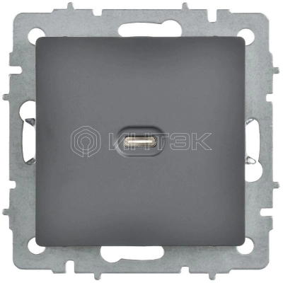 Розетка СП BRITE РЮ12-1-БрГ USB C 65Вт высокоскор. заряд. графит IEK BR-U13-065-K53 изображение, фото