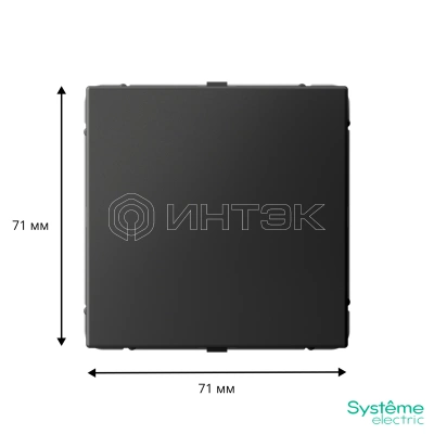Заглушка ArtGallery с суппортом для многопост. рамок базальт Systeme Electric GAL001409 изображение, фото