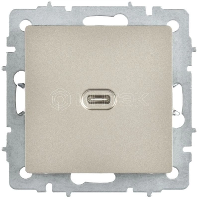 Розетка СП BRITE РЮ12-1-БрШ USB C 65Вт высокоскор. заряд. шампань IEK BR-U13-065-K37 изображение, фото