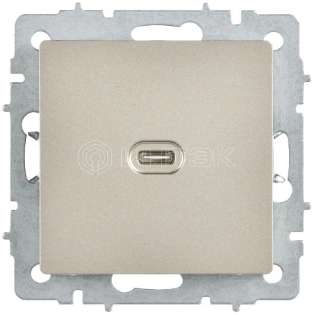 Розетка СП BRITE РЮ12-1-БрШ USB C 65Вт высокоскор. заряд. шампань IEK BR-U13-065-K37 изображение, фото