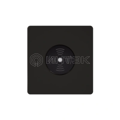 Выключатель звуковой СП Systeme Infinity 100Вт 230В с выдержкой времени полярная ночь Systeme Electric FSE001094 изображение, фото