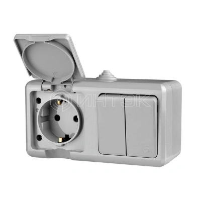 Блок ОП Dita (розетка 16А 250В с заземл. + 2-кл. выкл. 10А) IP54 сер. TOKOV ELECTRIC TKL-DT-V2RZ-C06-IP54 изображение, фото
