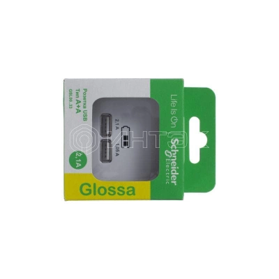 Розетка USB 2-м СП Glossa тип A+A 5В/2.1А 2х5В/1.05А механизм бел. Systeme Electric GSL000133 изображение, фото