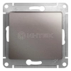 Выключатель 1-кл. СП Glossa 10А IP20 (сх. 1) 10AX механизм платина Systeme Electric GSL001211 изображение, фото