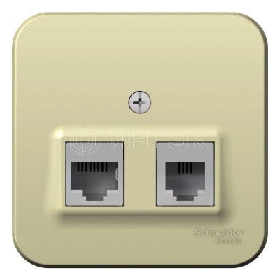 Розетка компьютерная + телефонная 2-м ОП Blanca RJ45 кат.5E + RJ11 с изолир. пластиной беж. Systeme Electric BLNIA045117 изображение, фото