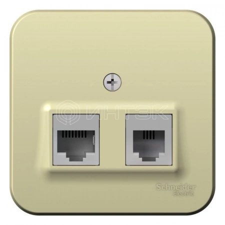 Розетка компьютерная + телефонная 2-м ОП Blanca RJ45 кат.5E + RJ11 с изолир. пластиной беж. Systeme Electric BLNIA045117 изображение, фото