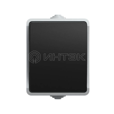 Выключатель проходной 1-кл. ОП Форс 10А IP54 ВС20-1-0-ФСр 250В сер. IEK EVS10-K03-10-54-DC изображение, фото