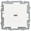 Розетка СП BRITE РЮ12-1-БрАБ USB C 65Вт высокоскор. заряд. арктич. бел. IEK BR-U13-065-K91 изображение, фото