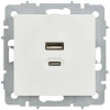 Розетка СП BRITE РЮ11-2-БрБ USB A+C 45Вт высокоскор. заряд. бел. IEK BR-U22-045-K01 изображение, фото