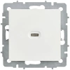Розетка СП BRITE РЮ12-1-БрБ USB C 65Вт высокоскор. заряд. бел. IEK BR-U13-065-K01 изображение, фото