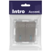 Выключатель 2-кл. СП Accent 6-105-09 10А IP20 250В с подсветкой AL/CU титан Intro Б0063525 изображение, фото