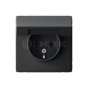 Розетка ArtGallery 16А IP20 с заземл. защ. шторки с крышкой механизм карбон Systeme Electric GAL001046 изображение, фото
