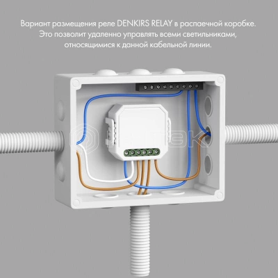Реле-выключатель двухканальное Wi-Fi 2х1150Вт/2х100Вт для LED DENKIRS 780474 изображение, фото