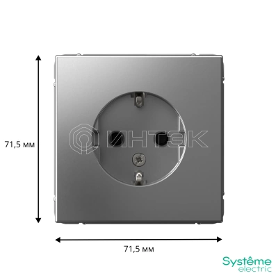 Розетка ArtGallery 16А с заземл. защ. шторки механизм сталь Systeme Electric GAL000945 изображение, фото