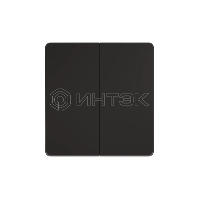 Выключатель 2-кл. СП Systeme Infinity 10А 250В с самовозвратом полярная ночь Systeme Electric FSE001017 изображение, фото