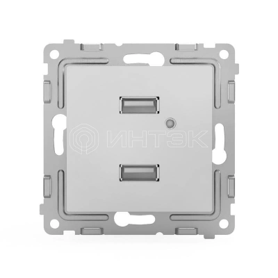 Розетка 2-м USB СП Pixel тип A+A 5В 1х2.1А 2х1.05А механизм алюм. TOKOV ELECTRIC TKE-PX-2USB-C03 изображение, фото